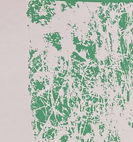 Green screen print on white background